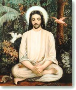 Programs | Sivananda Yoga Farm | Northern California