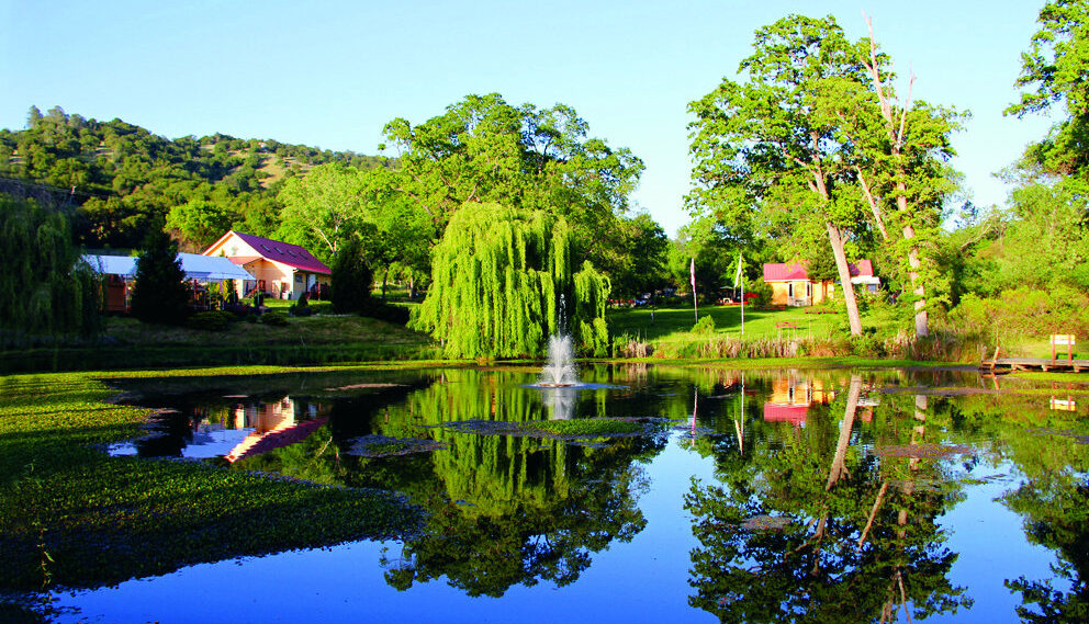 The programs featured image