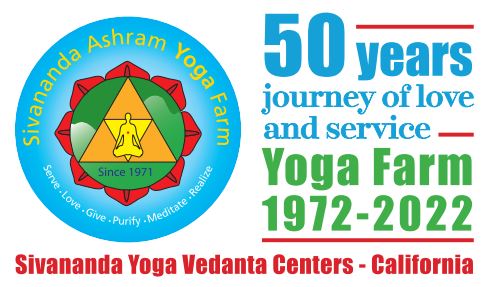 Sivananda Yoga at best price in Bengaluru